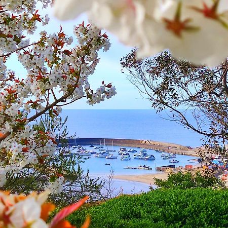Seabreeze Daire Lyme Regis Dış mekan fotoğraf