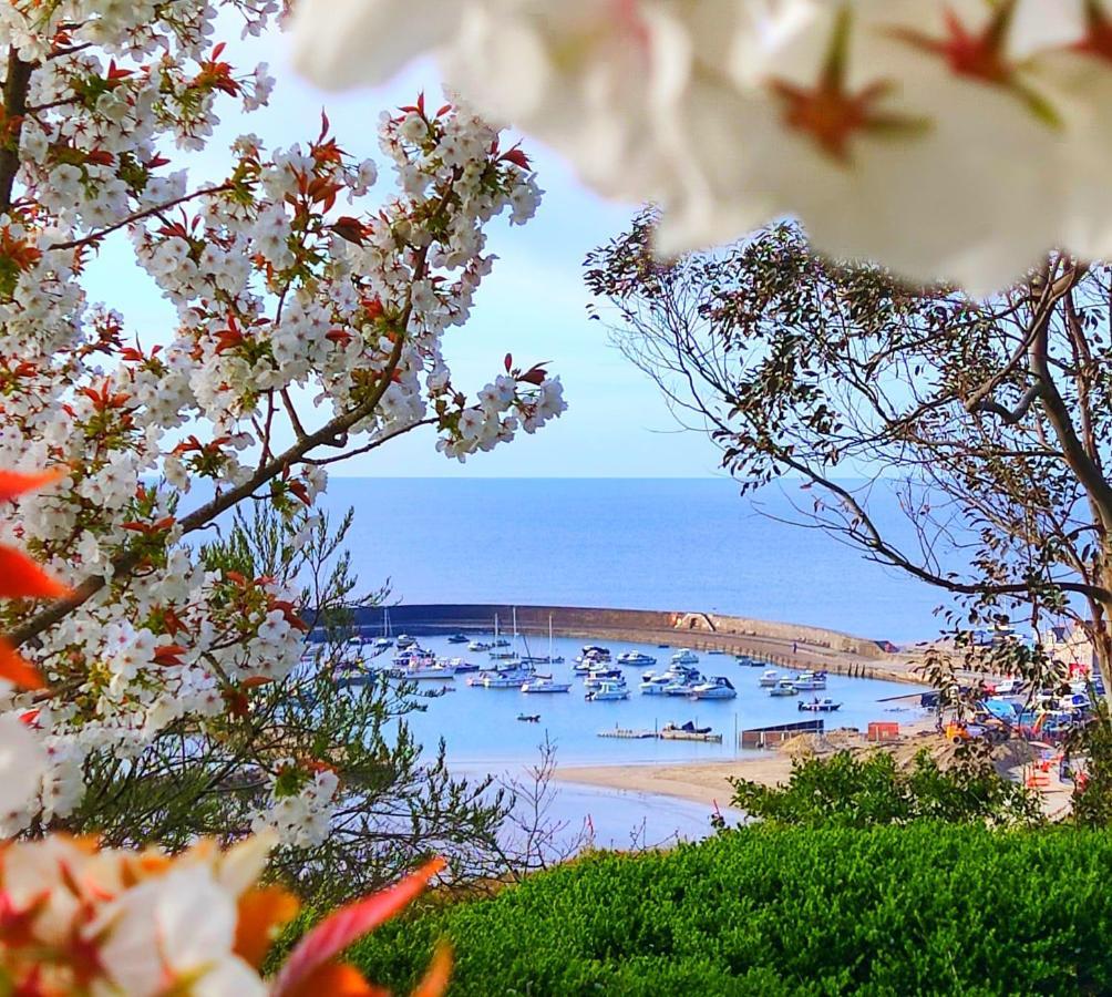 Seabreeze Daire Lyme Regis Dış mekan fotoğraf