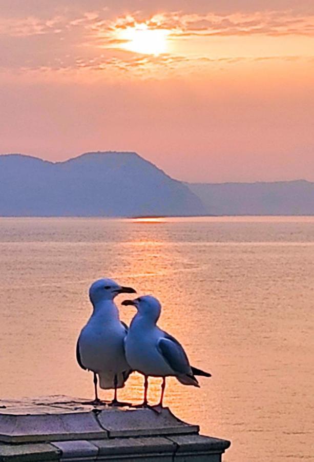 Seabreeze Daire Lyme Regis Dış mekan fotoğraf